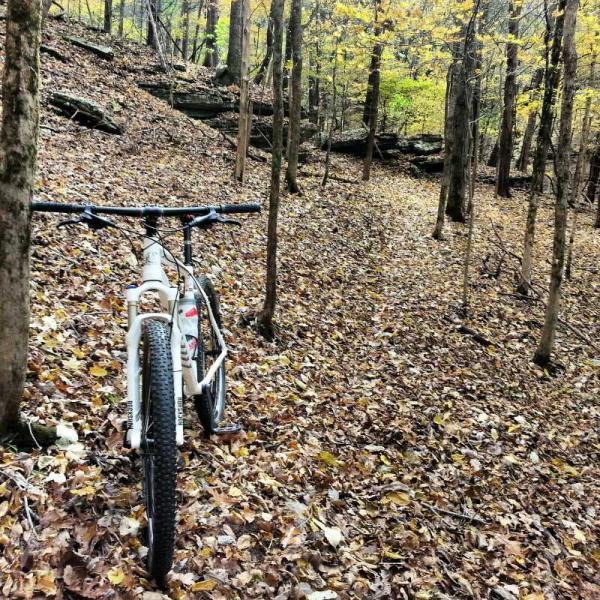 A white mountain bike is leaning against a tree on a dirt trail covered with fallen leaves, surrounded by trees with autumn foliage in a dense forest setting. The trail winds through the woods, leading into the distance. Mousetail State Park mountain bike trail.