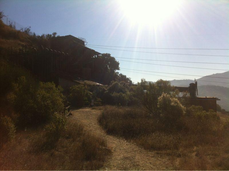 A sunlit landscape featuring a dirt path surrounded by tall grasses and shrubs, leading up to an old, rustic building partially obscured by trees. Power lines are visible in the background with hills and mountains in the distance under a clear blue sky. Quicksilver mountain bike trail.