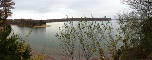Panoramic view of a calm lake surrounded by trees and a cloudy sky, with shoreline vegetation in the foreground. Caesar Creek mountain bike trail.
