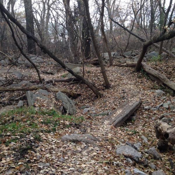 A winding dirt path through a wooded area, surrounded by fallen leaves, rocks, and tree branches. The landscape appears calm and slightly overcast, with bare trees in the background hinting at autumn or early winter. Air Capital Memorial Park mountain bike trail.