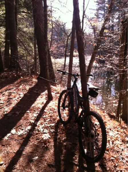 A mountain bike resting beside a wooded trail, with sunlight filtering through the trees and casting long shadows. In the background, a calm body of water is visible, surrounded by autumn foliage. Groton Town Forest mountain bike trail.