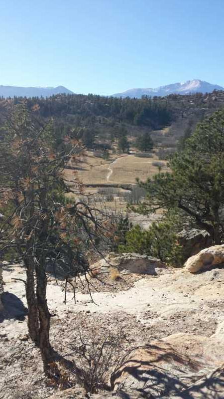 Scenic view of a mountainous landscape featuring rolling hills and sparse vegetation, with a dirt path winding through a grassy area. In the foreground, a bare tree is visible, and distant mountains are framed against a clear blue sky. Ute Valley Park mountain bike trail.