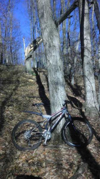 A mountain bike resting against a tree on a leaf-covered forest trail, with tall trees and a blue sky in the background. Sunlight creates shadows on the ground, and a broken tree branch is visible in the distance. Arcadia Dunes mountain bike trail.