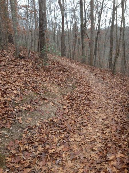 A winding dirt path covered in fallen leaves, surrounded by bare trees in a wooded area. The scene captures the tranquility of nature during the fall or winter season. Itusi @ Lake Norman State Park mountain bike trail.