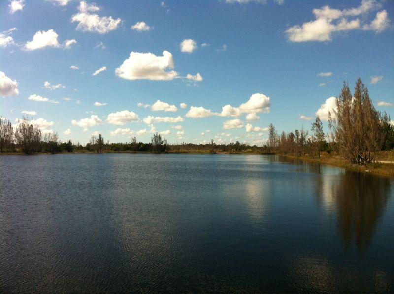Serene landscape featuring a calm lake under a blue sky adorned with fluffy white clouds. Trees line the shore, reflecting gently in the water, creating a peaceful natural scene. Bird Basin Park mountain bike trail.