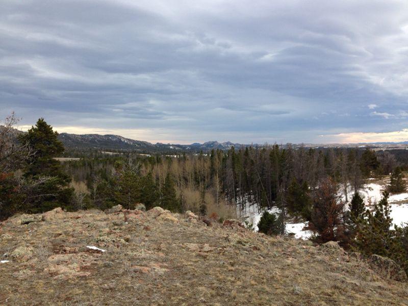 A panoramic view of a mountainous landscape under a cloudy sky, featuring a foreground of rocky terrain and patches of grass. In the background, dense forests of evergreen trees extend towards snow-capped mountains, while a mix of bare trees and snow can be seen in the midground. The overall atmosphere conveys a tranquil, natural setting. Happy Jack Recreation Area mountain bike trail.