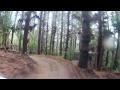 A winding dirt path through a dense forest of tall trees, with pine needles covering the ground and soft light filtering through the foliage. Corners mountain bike trail.