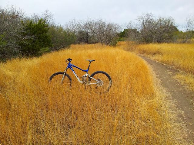 Giant Trance X3: A blue mountain bike parked in tall, golden grass beside a dirt path, with a few bare trees in the background under a cloudy sky.