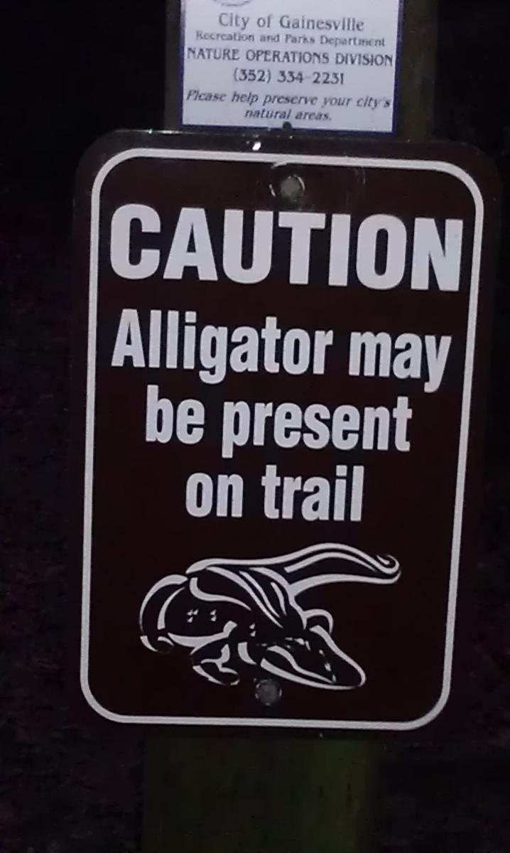 A warning sign indicating the presence of alligators on a trail. The sign features bold text stating "CAUTION" at the top and "Alligator may be present on trail" below, alongside a graphic of an alligator. The sign is posted on a wooden post, with additional information about the City of Gainesville's parks department above it. Creekside mountain bike trail.