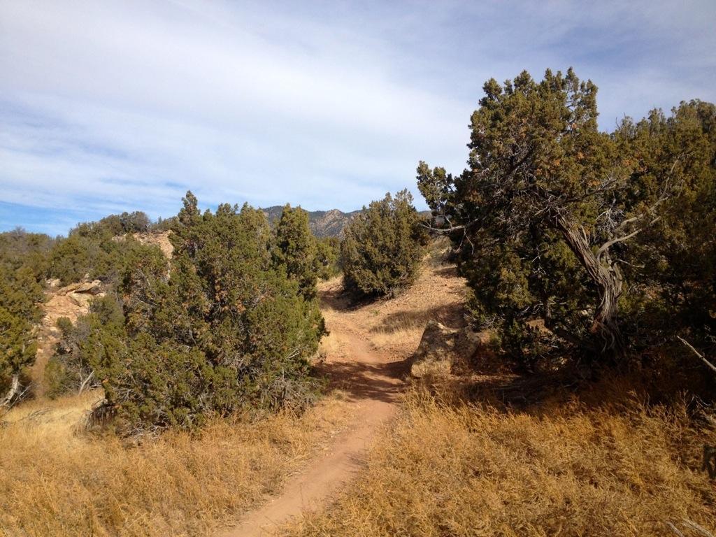 A dirt path winding through a landscape of shrubs and dry grass, surrounded by low hills under a partly cloudy sky. Oil Well Flats mountain bike trail.