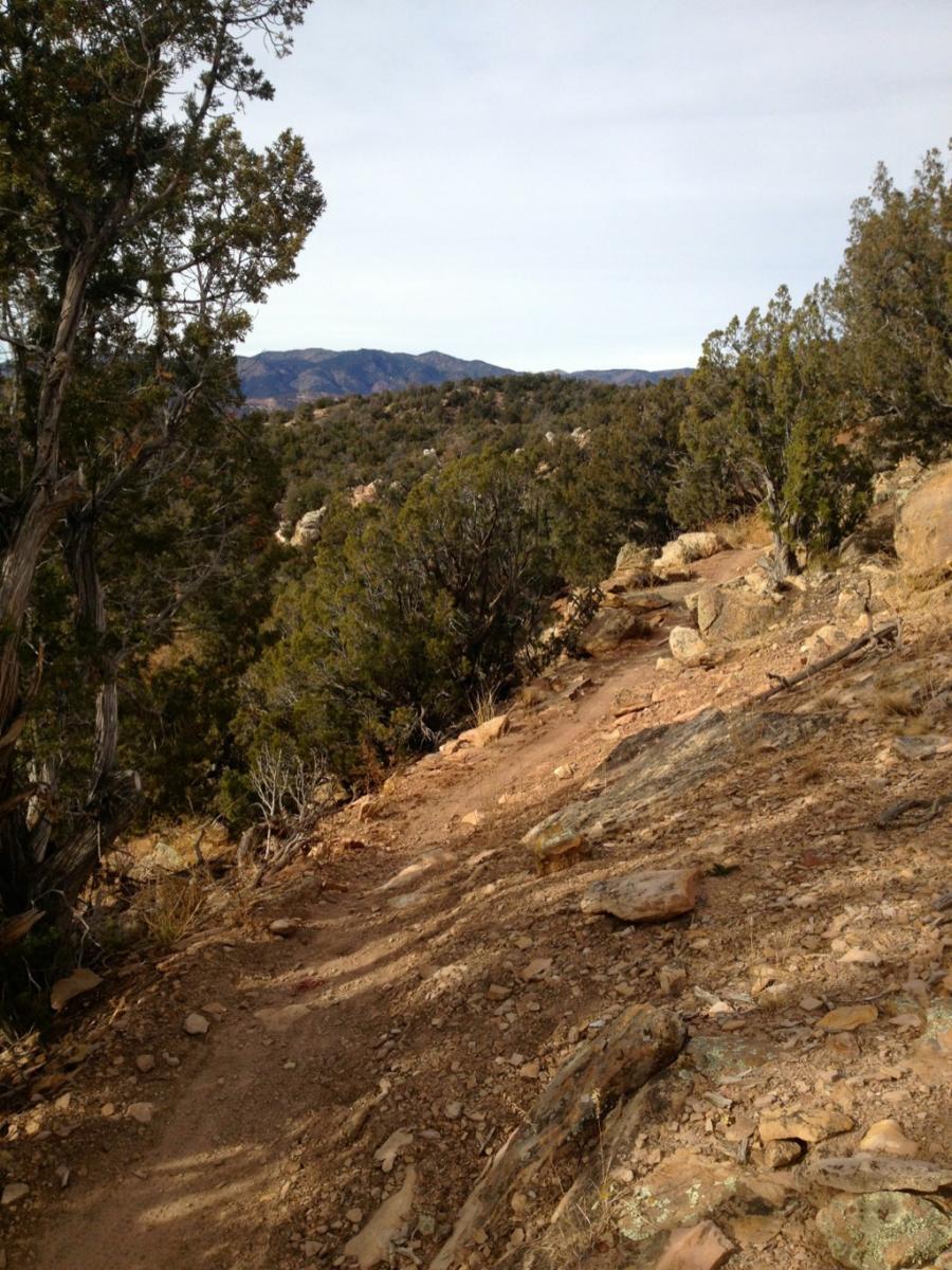 Trail winding through a rocky hillside surrounded by shrubs and trees, with mountains visible in the background under a clear sky. Oil Well Flats mountain bike trail.