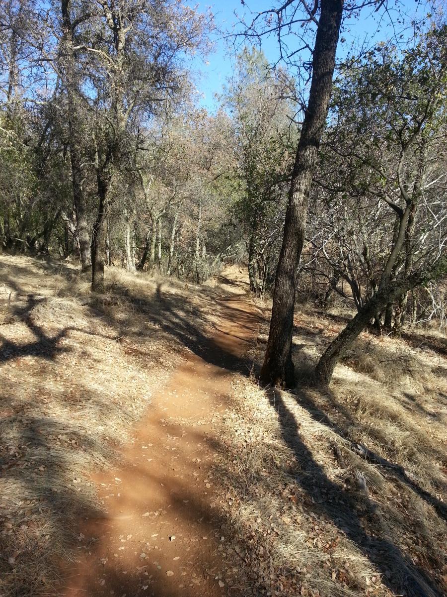 A dirt trail winding through a wooded area with trees on both sides and dry grass along the path, under a clear blue sky. Salmon Falls: Sweetwater Loop mountain bike trail.