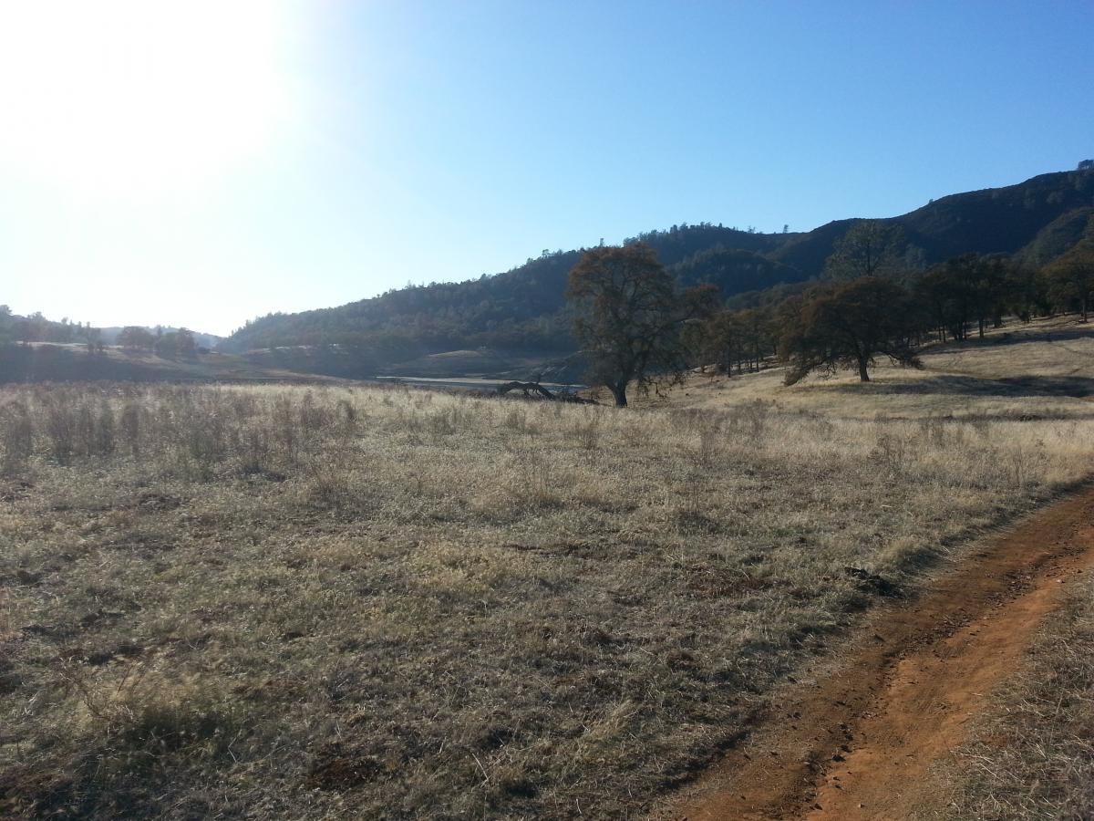 A serene landscape featuring a wide, grassy field with scattered trees under a clear blue sky. In the background, rolling hills rise gently against the horizon, and a dirt path meanders through the foreground. The sunlight casts a warm glow over the scene, creating a peaceful, idyllic atmosphere. Salmon Falls: Sweetwater Loop mountain bike trail.