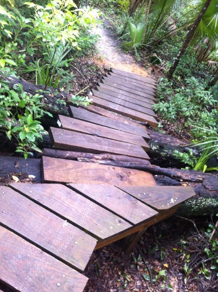 A wooden staircase made from planks and logs, leading down through a lush, green forest area. The surrounding vegetation includes various plants and leaves, creating a natural and serene environment. Mount Dora Trail mountain bike trail.