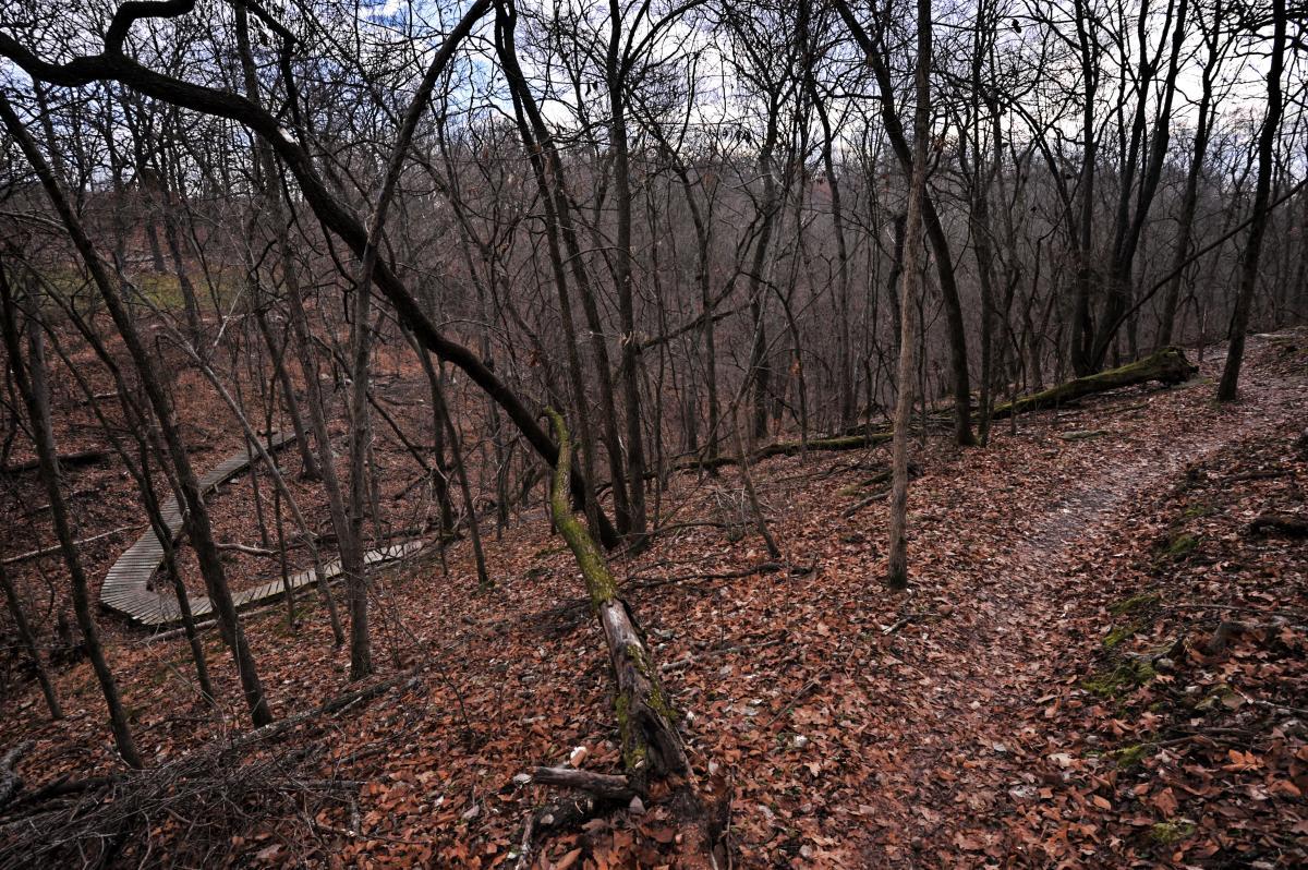 A winding wooden pathway through a forest with sparse trees, covered in fall leaves, under a cloudy sky. Slaughter Pen Trail mountain bike trail.
