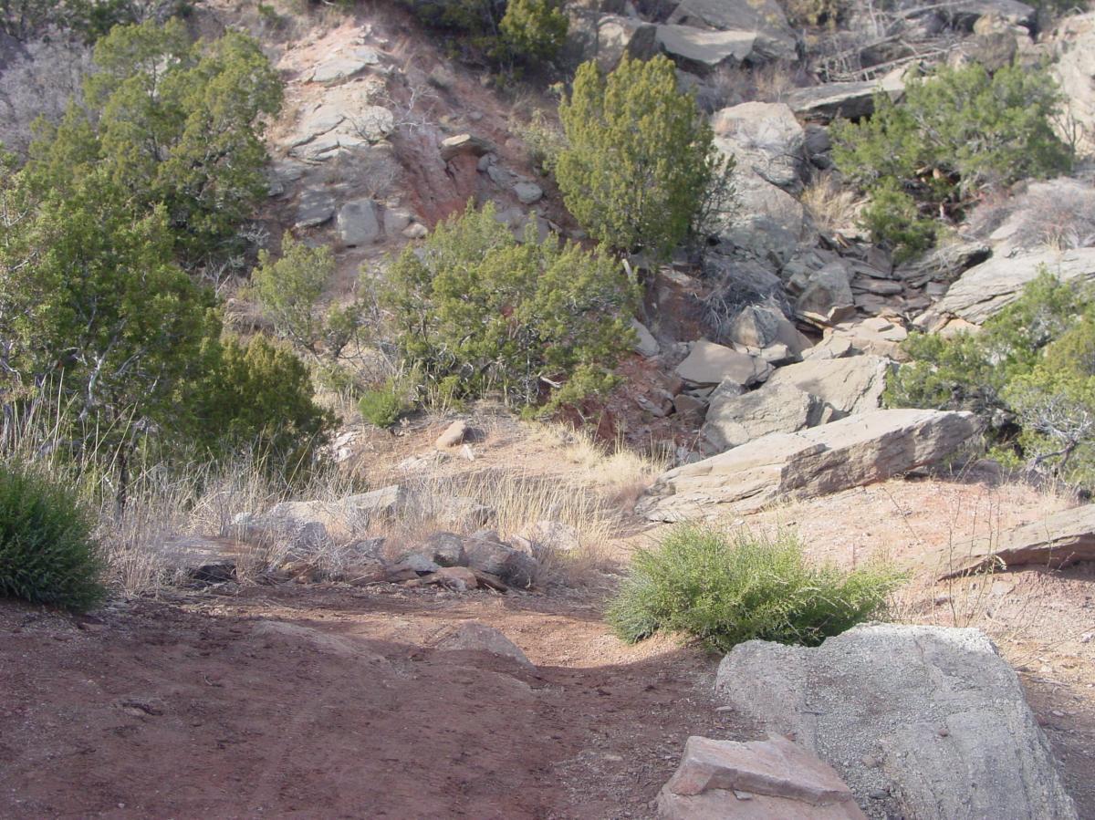 Rocky terrain with scattered boulders and patches of green bushes, surrounded by dry grass and a sloped hillside. Palo Duro Canyon mountain bike trail.