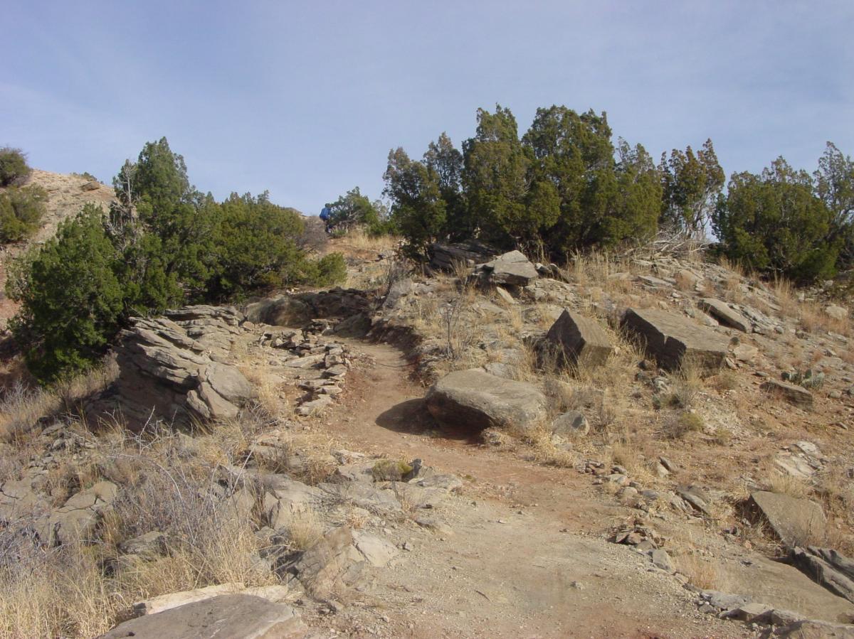 A rocky hiking trail winding through arid terrain, lined with juniper bushes and scattered boulders, against a backdrop of a clear sky. Palo Duro Canyon mountain bike trail.