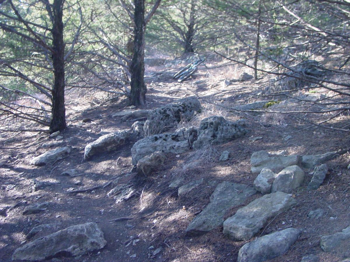 A wooded path surrounded by trees and scattered rocks, with dappled sunlight filtering through the branches, creating a natural, serene atmosphere. Fancy Creek State Park mountain bike trail.
