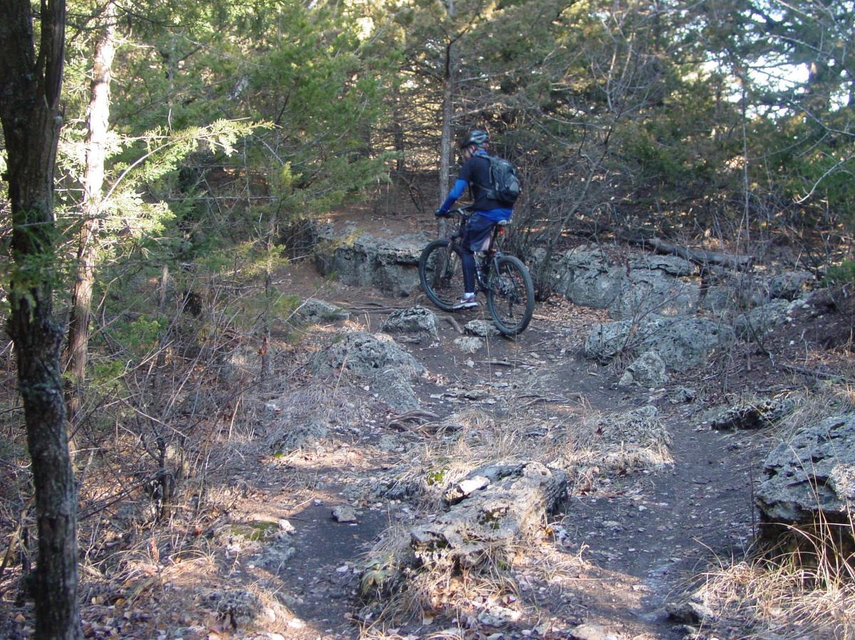A person riding a mountain bicycle on a rocky trail surrounded by trees. The rider is wearing a helmet and a backpack, navigating through a natural landscape with uneven terrain. Fancy Creek State Park mountain bike trail.