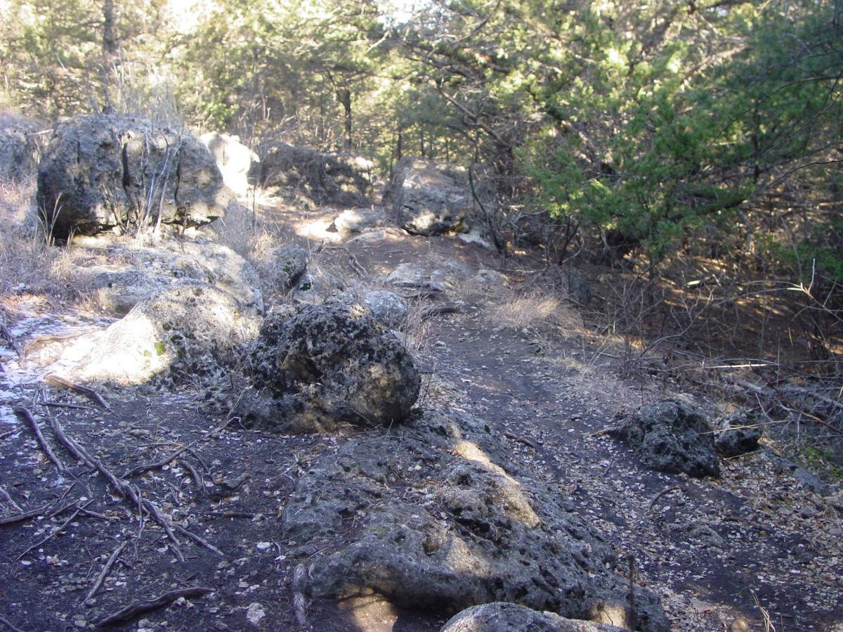 A rocky path surrounded by trees in a forested area, with large boulders scattered along the trail and patches of dry grass and twigs on the ground. Fancy Creek State Park mountain bike trail.
