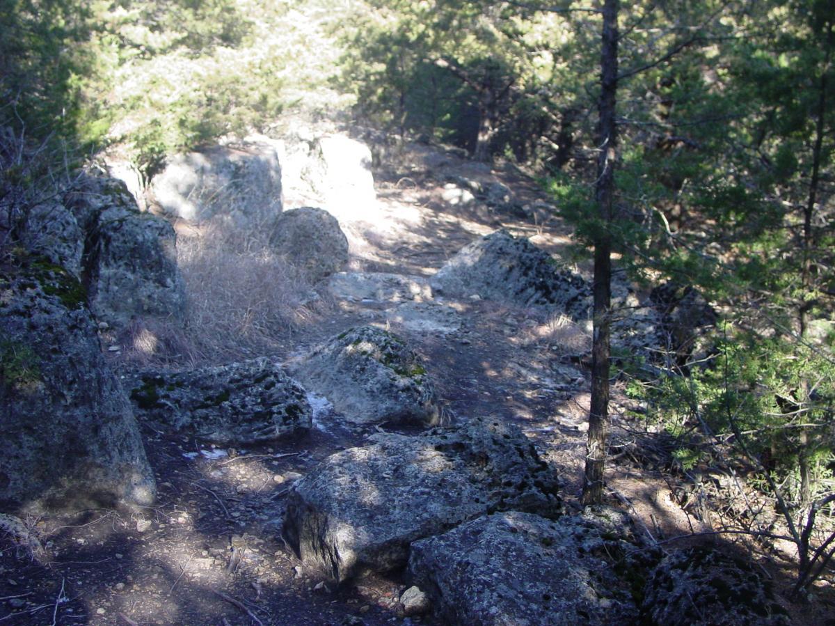 A rocky path surrounded by trees and brush, featuring various sized boulders and uneven ground, in a natural forested setting. Fancy Creek State Park mountain bike trail.