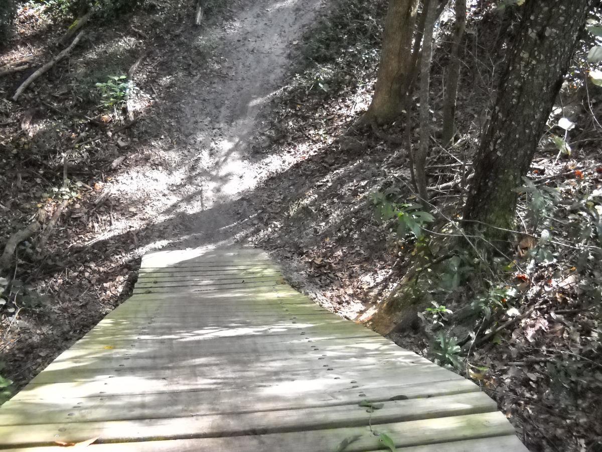 A wooden boardwalk leading down a sloped, dirt path surrounded by green foliage and trees, with scattered leaves on the ground. The area is well-lit with sunlight filtering through the trees, creating a natural and serene atmosphere. Mount Dora Trail mountain bike trail.