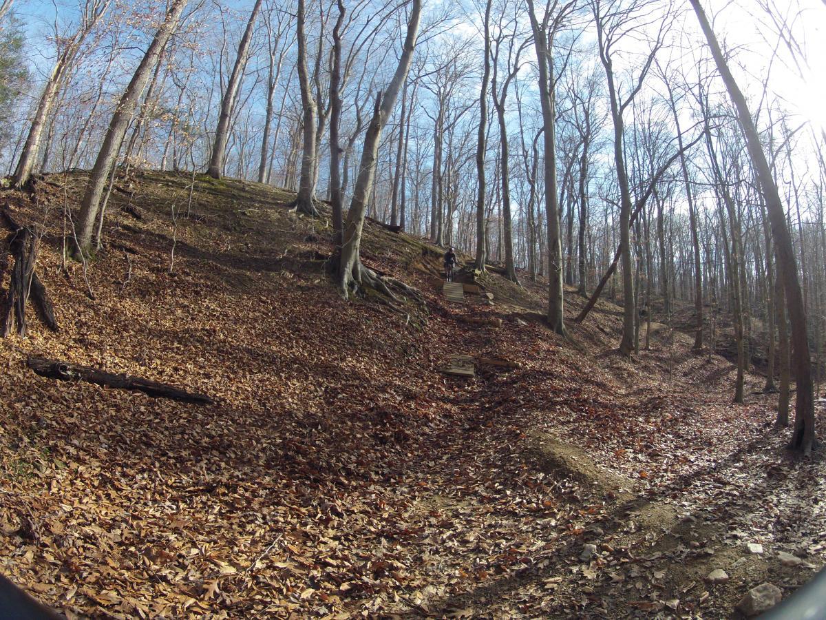 A winding trail through a wooded area with bare trees and a carpet of fallen leaves. The path leads up a slope adorned with rocks and steps, inviting exploration. Sunlight filters through the tree branches, illuminating the natural scenery. Fountainhead Regional Park mountain bike trail.