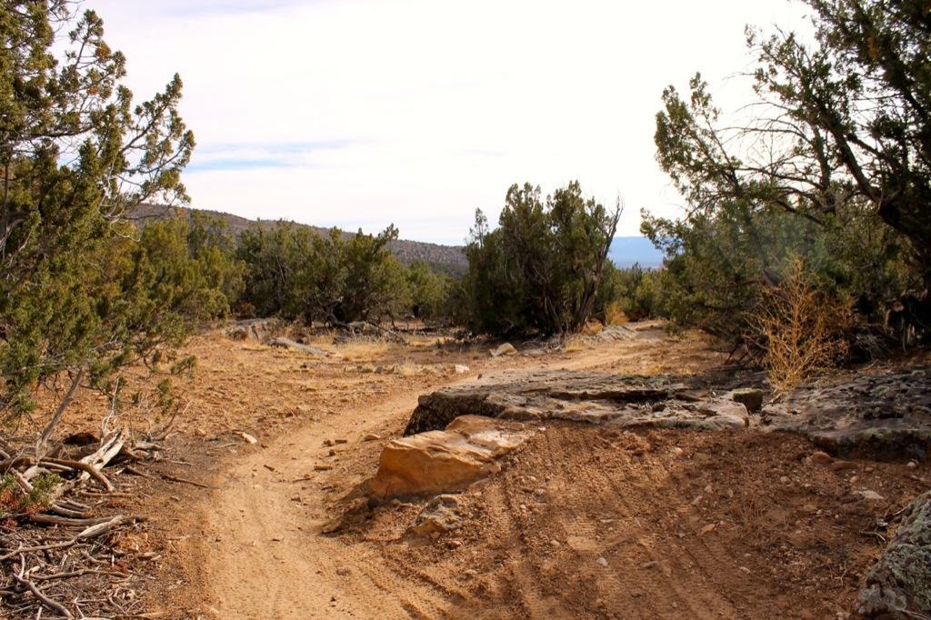 A winding dirt trail surrounded by sparse vegetation and rocky terrain, leading into a distant, hilly landscape under a cloudy sky. Oil Well Flats mountain bike trail.