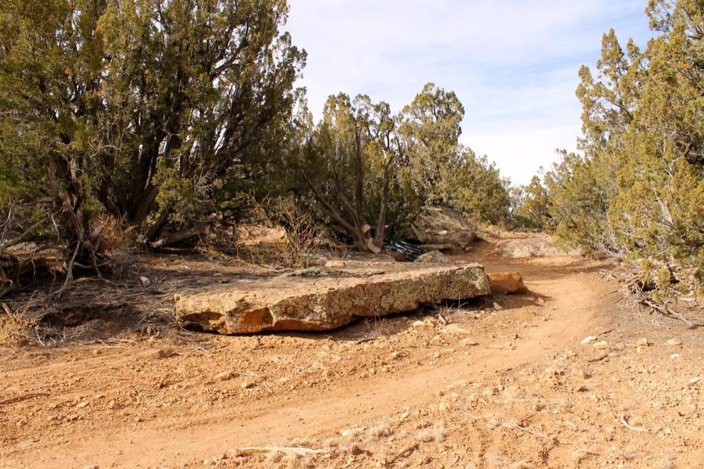 A dirt path winding through a rugged landscape, flanked by evergreen trees. A large rock sits on the ground near the path, surrounded by dry grass and scattered stones, under a clear sky. Oil Well Flats mountain bike trail.