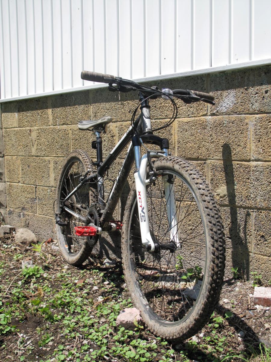 Trek 820: A mountain bike resting against a stone wall, with dirt on its tires and frame, surrounded by small plants and rocks. The bike features a black and silver color scheme, with noticeable wear indicating it's been used for outdoor riding.