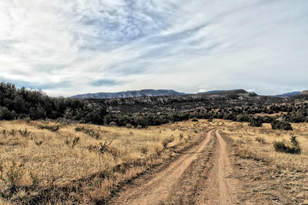 A winding dirt road meanders through a grassy landscape, flanked by sparse vegetation and low shrubs, leading toward distant hills under a cloudy sky. Oil Well Flats mountain bike trail.