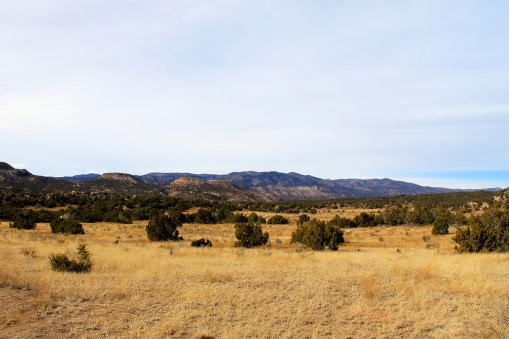 A panoramic view of a dry, open landscape with sparse vegetation, featuring rolling hills and distant mountains under a clear sky. The terrain is predominantly golden-brown grass, with occasional green shrubs scattered throughout. Oil Well Flats mountain bike trail.