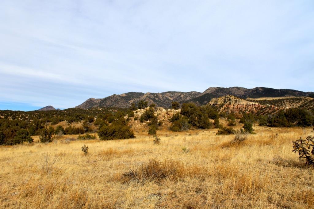 A scenic view of a grassy landscape with sparse shrubs in the foreground, leading to a range of mountains in the background under a mostly clear sky. The terrain features dry grass that suggests a warm climate, with varying shades of green from the shrubs contrasting against the brown grass. The mountains display layers of rugged terrain, creating a sense of depth and natural beauty. Oil Well Flats mountain bike trail.