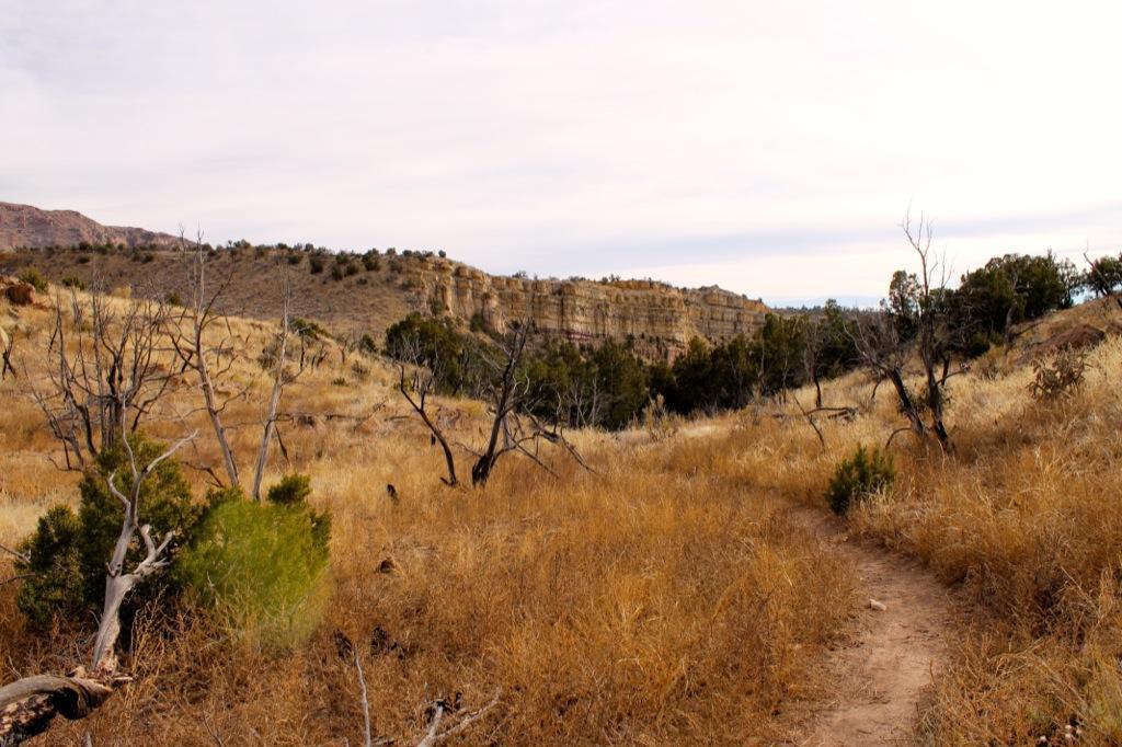 A scenic landscape featuring a winding dirt trail surrounded by dry, golden grass and sparse vegetation. The terrain is hilly with rocky cliffs in the background, under a cloudy sky. Some trees are leafless or have sparse foliage, contributing to the arid and serene atmosphere of the scene. Oil Well Flats mountain bike trail.