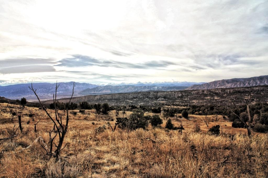 A panoramic view of a vast, arid landscape featuring dry grass and scattered shrubs, with distant mountains under a cloudy sky. The scene captures the natural beauty of the terrain, highlighting a mix of dried vegetation and rugged hills. Oil Well Flats mountain bike trail.