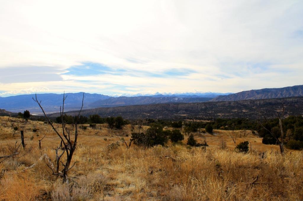 A scenic view of a mountainous landscape, featuring rolling hills covered in dry golden grass, scattered green shrubs, and sparse tree branches. The sky is mostly cloudy with hints of blue, and distant snow-capped peaks can be seen on the horizon. Oil Well Flats mountain bike trail.