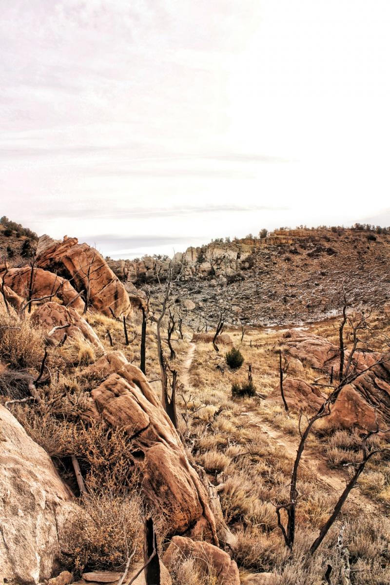A rugged landscape featuring rocky formations and barren trees. The foreground shows large stones and dry grass, leading to a path through the arid terrain. In the background, hills rise under a cloudy sky, creating a dramatic natural scenery. Oil Well Flats mountain bike trail.
