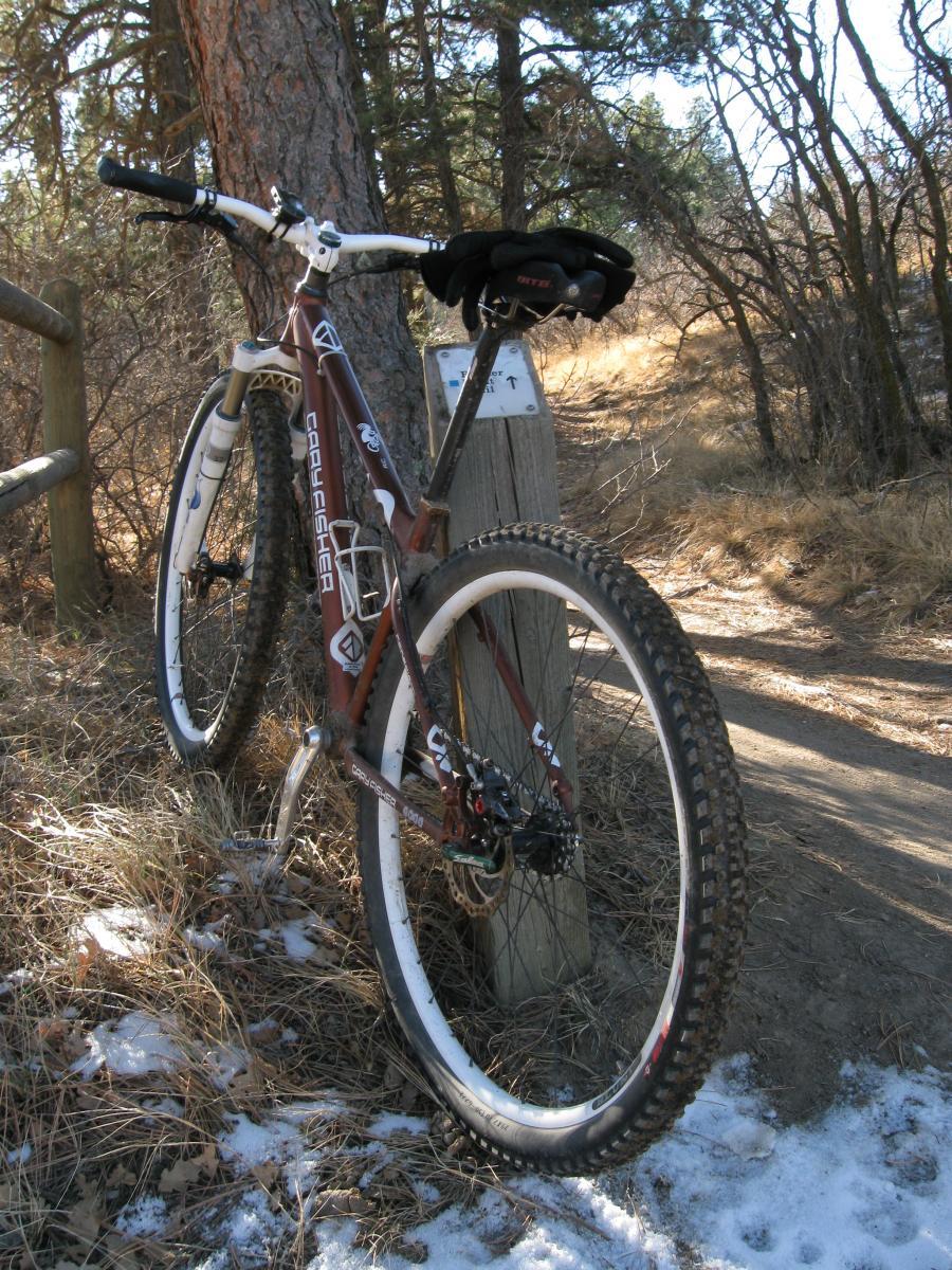 Gary Fisher Rig 29er: A mountain bike is leaning against a post along a dirt trail surrounded by trees. The bike is primarily brown with white accents and has knobby tires, indicating it's intended for off-road use. A pair of black gloves rests on the handlebars. The ground is partly covered in dried leaves and patches of snow.