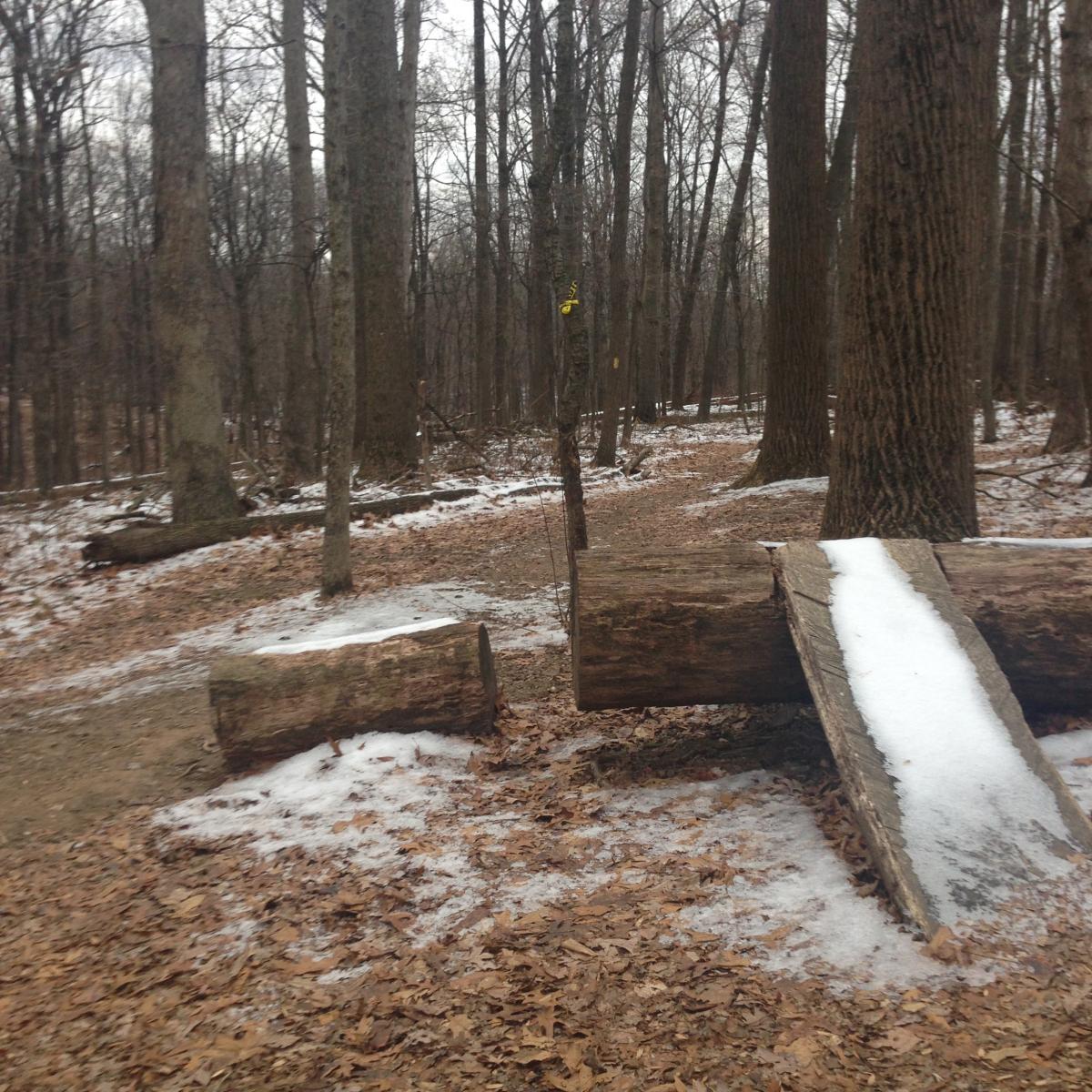 A wooded trail scene featuring two large logs on the ground, with one log serving as a bridge over a small gap. The ground is covered with scattered autumn leaves and patches of snow. Tall trees with bare branches stretch into the background under a cloudy sky. Schaeffer Farms mountain bike trail.