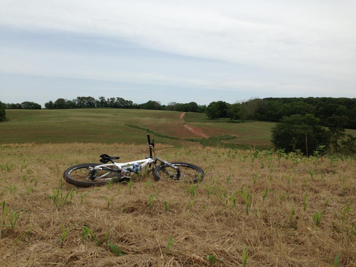 A mountain bike lying on a grassy slope, with fields and trees in the background under a cloudy sky. Schaeffer Farms mountain bike trail.