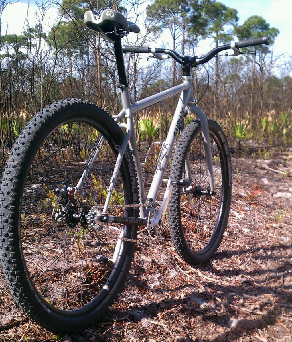 Surly Karate Monkey: A close-up view of a mountain bike positioned on a dirt trail surrounded by sparse vegetation and trees. The bike features thick, knobby tires, a silver frame, and a distinctive saddle. The background includes a mix of burnt foliage and healthy green plants, indicating a recent fire in the area.