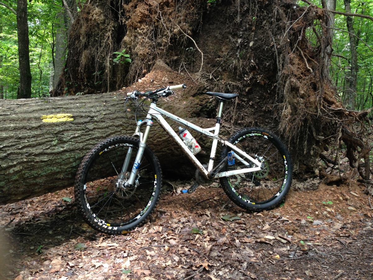 Chumba HX1: A mountain bike resting against a large fallen tree in a wooded area, surrounded by green foliage and fallen leaves. The bike is white with black and yellow tires, and a water bottle is mounted on the frame.