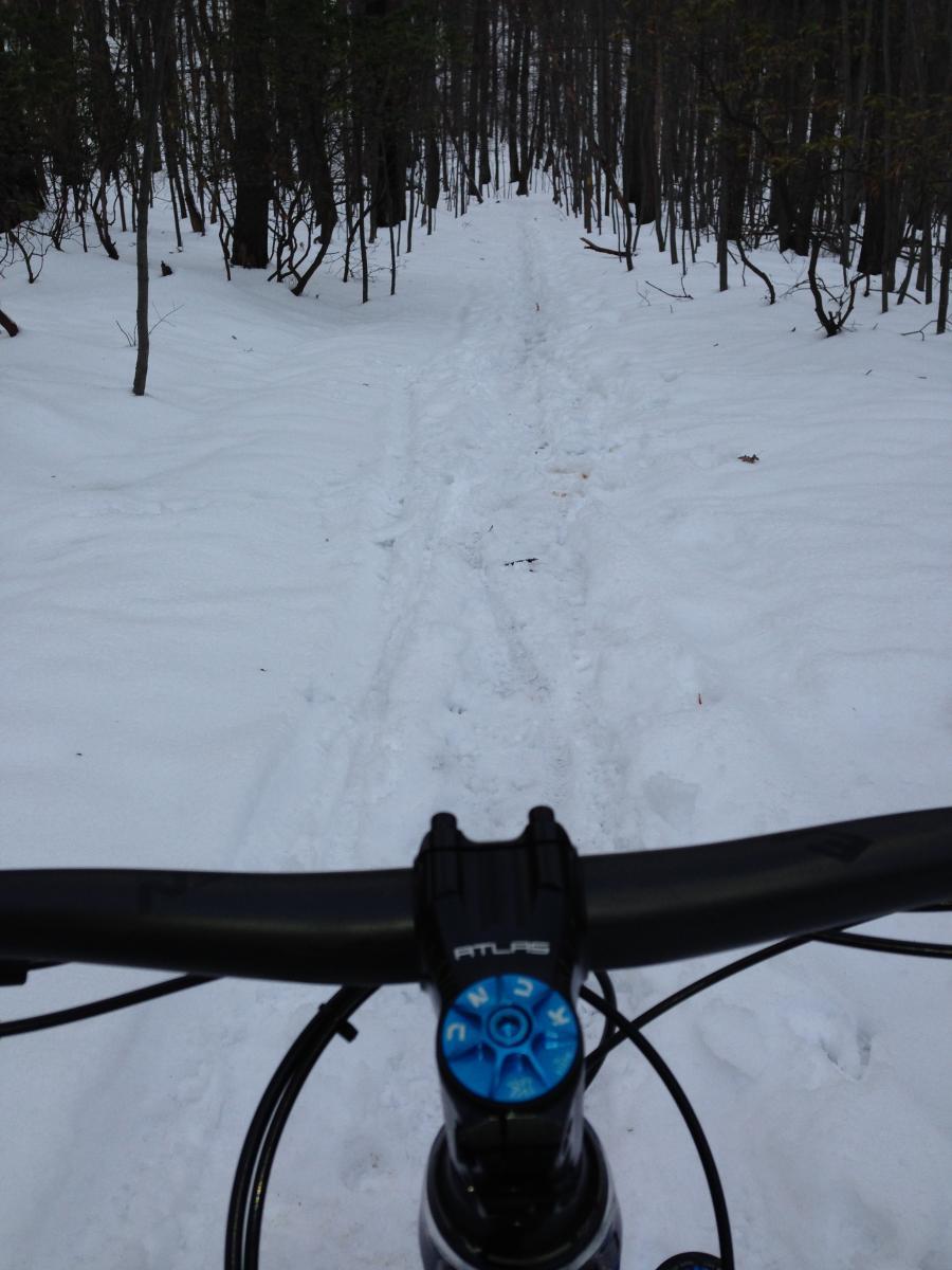 A view from the handlebars of a mountain bike on a snowy trail, surrounded by trees. The path shows tracks in the snow, indicating recent use, while the forest is dense with thin trunks and sparse foliage. Gambrill State Park mountain bike trail.