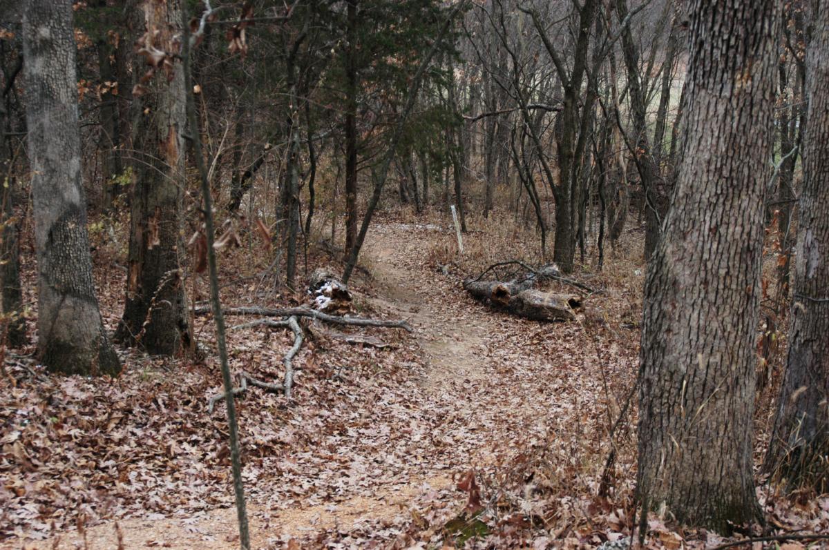 A winding dirt path through a wooded area during late autumn, scattered with fallen leaves and surrounded by bare trees. Some logs and branches lie on the ground, contributing to the natural, tranquil atmosphere of the scene. Quail Ridge mountain bike trail.