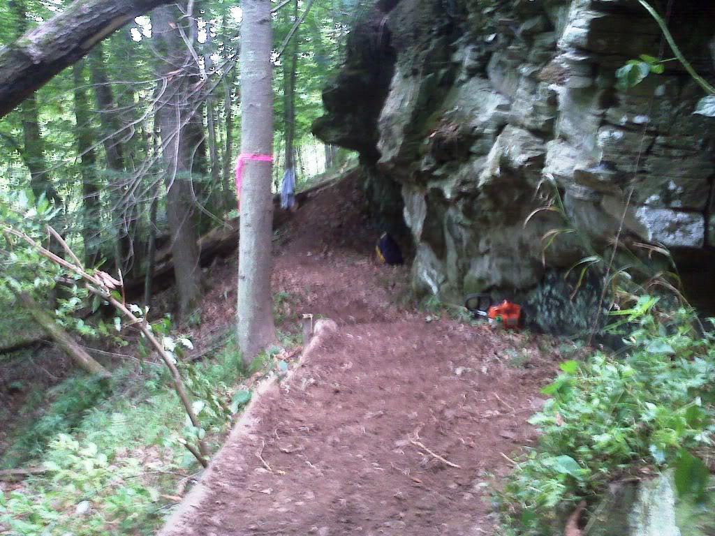 A narrow dirt pathway runs alongside a rocky cliff in a dense forest, with lush green foliage surrounding the trail. A tree marked with a pink ribbon stands prominently along the path, and some scattered tools can be seen near the base of the cliff. The scene conveys a tranquil and natural setting, ideal for hiking or exploring. Mountwood mountain bike trail.