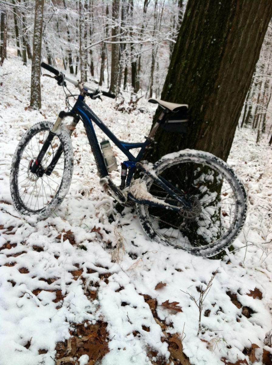 Specialized Stumpjumper FSR Comp 29: A blue mountain bike resting against a tree in a snowy forest. The ground is covered in a layer of fresh snow interspersed with fallen leaves. The bike's tires have snow accumulation, suggesting recent use in winter conditions. The trees in the background are bare, indicating it is winter.