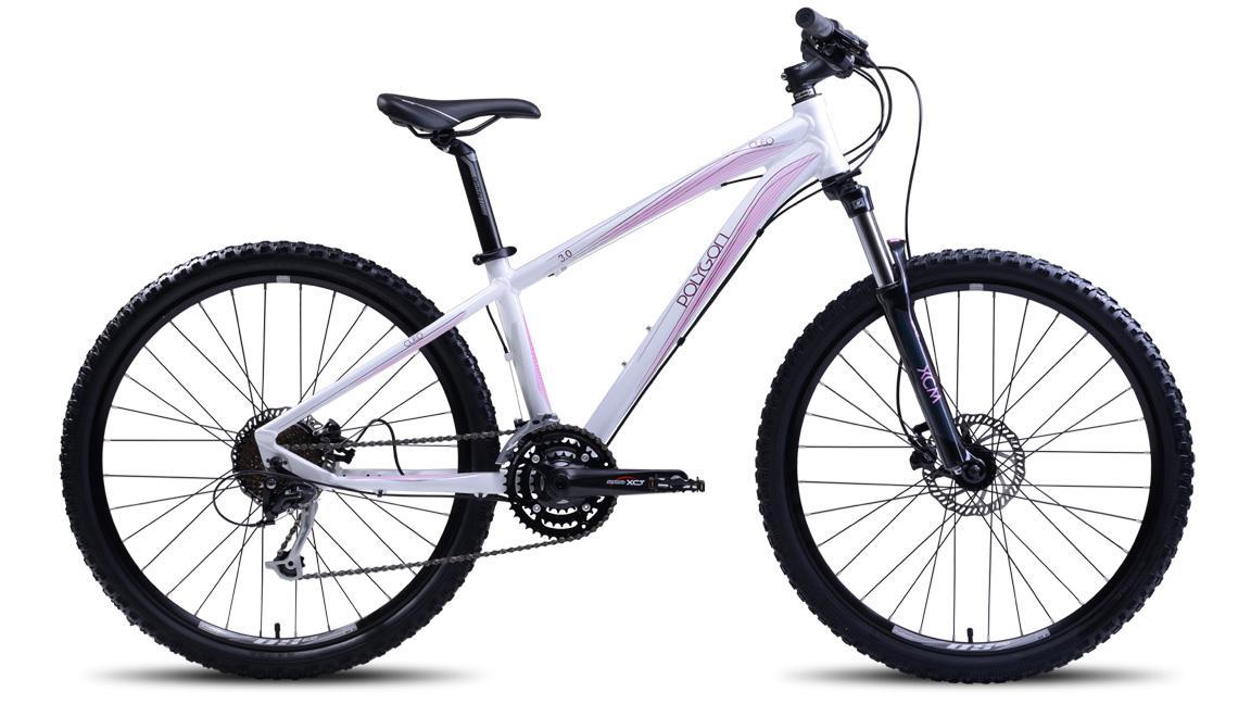 polygon cleo 2.0 2019