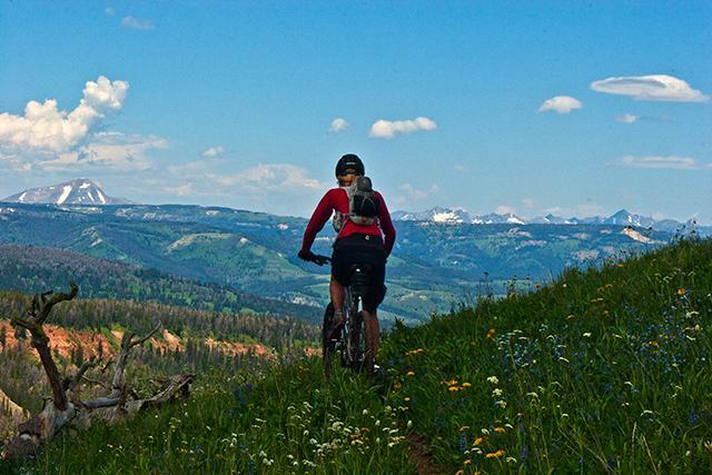 Specialized Stumpjumper FSR Elite: A mountain biker rides along a grassy trail adorned with wildflowers, overlooking a scenic landscape of rolling hills and distant snow-capped mountains under a blue sky with fluffy white clouds.