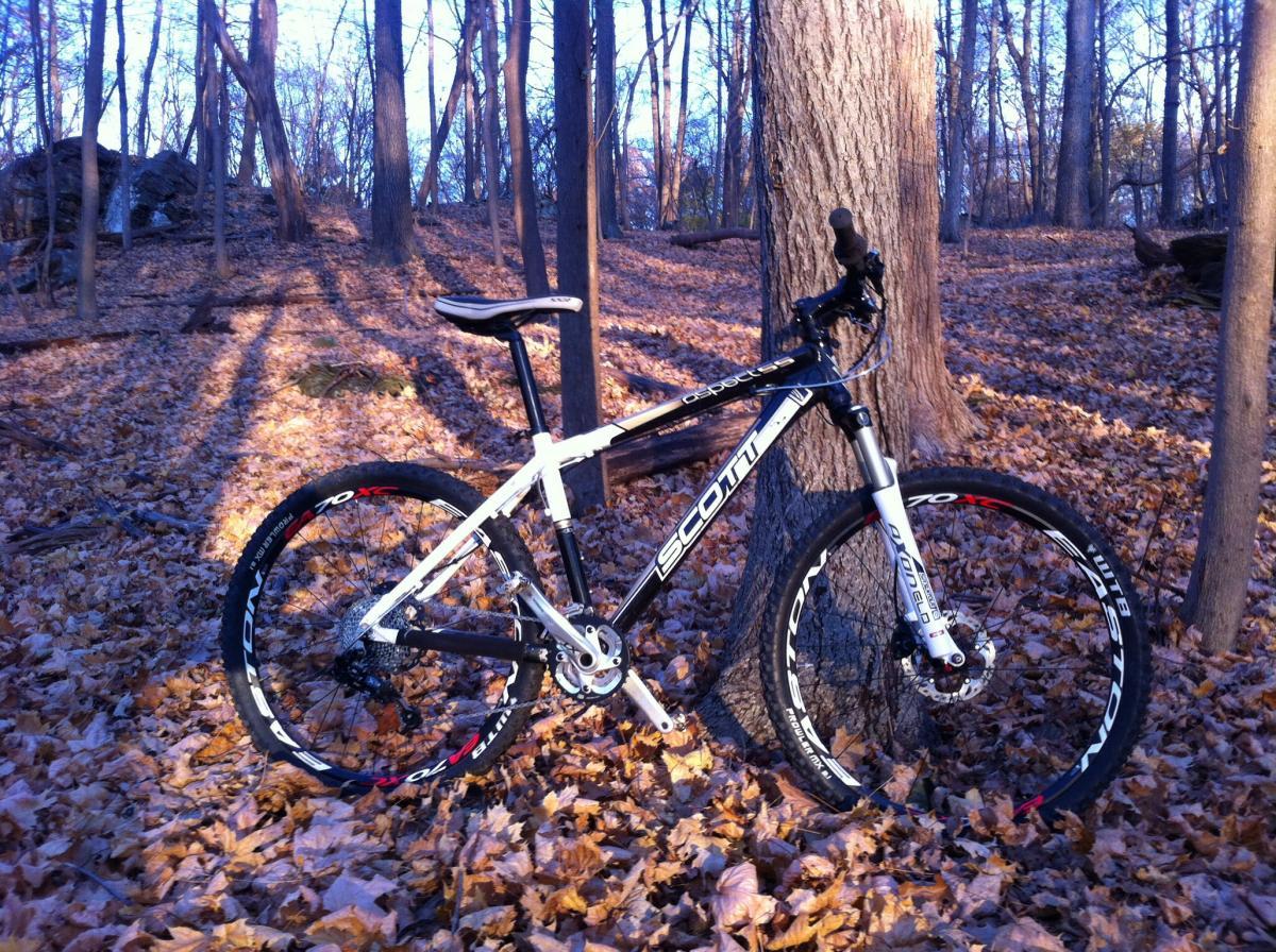 Scott Aspect 66: A mountain bike leaning against a tree in a forested area during autumn, surrounded by fallen leaves. The bike has a black and white frame with distinctive branding. The scene is illuminated by soft natural light, highlighting the textures of the bark and leaves.