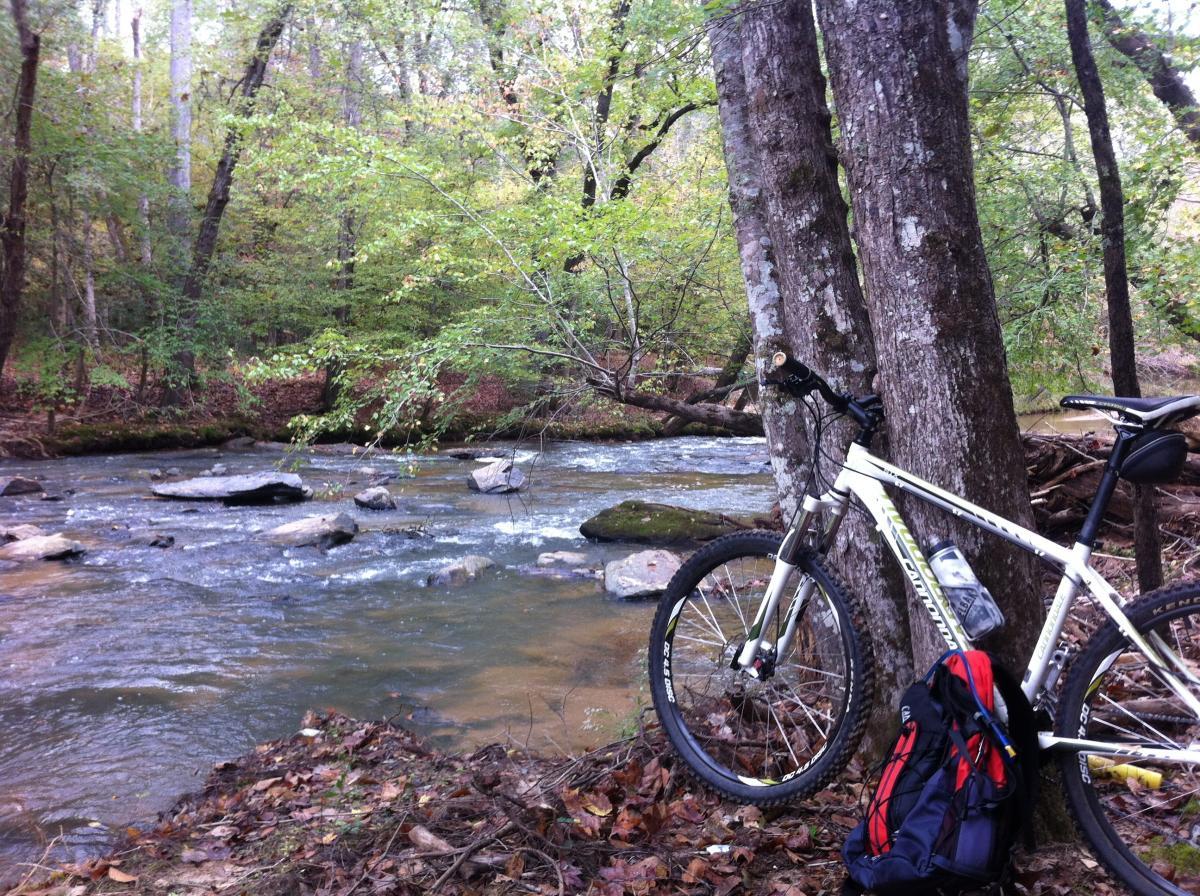 Cannondale Trail 6: A mountain bike leans against a tree near a flowing creek, surrounded by lush green foliage. Water flows over smooth stones in the creek, while dried leaves cover the ground nearby. A red backpack rests next to the bike, completing the serene outdoor scene.